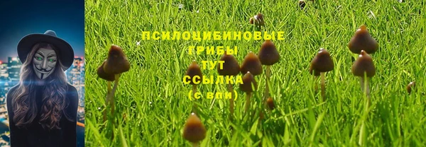 бошки Новокубанск