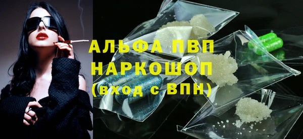 крисы Заполярный